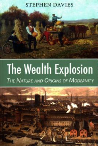 Libro Wealth Explosion Stephen Davies