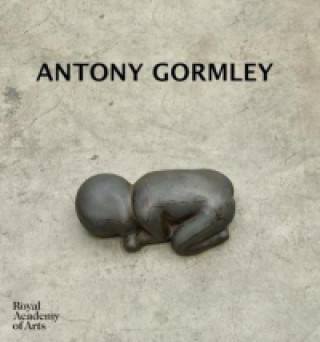 Könyv Antony Gormley Antony Gormley