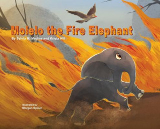Kniha Molelo the Fire Elephant Sylvia M. Medina