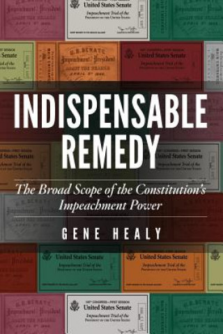 Knjiga Indispensable Remedy Gene Healy