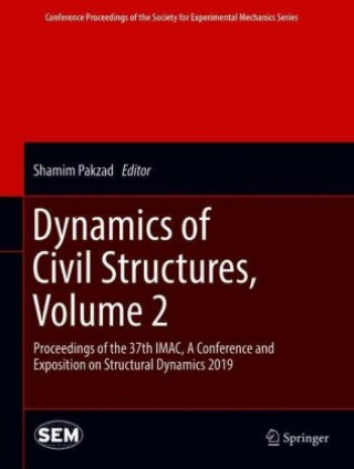 Kniha Dynamics of Civil Structures, Volume 2 Shamim Pakzad