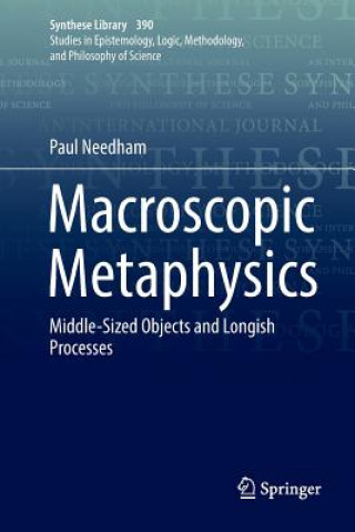 Kniha Macroscopic Metaphysics Paul Needham