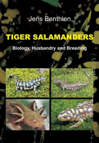 Książka Tiger Salamanders Jens Benthien