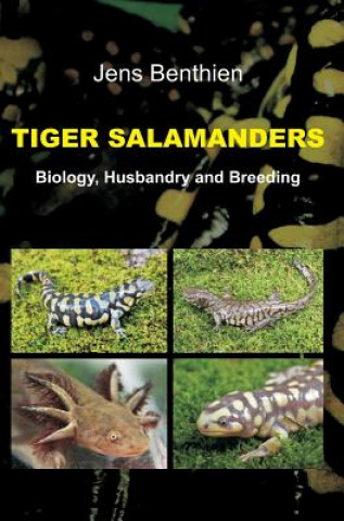 Carte Tiger Salamanders Jens Benthien