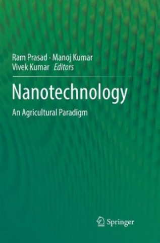 Könyv Nanotechnology Ram Prasad
