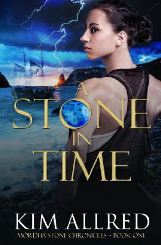 Knjiga A Stone in Time Kim Allred