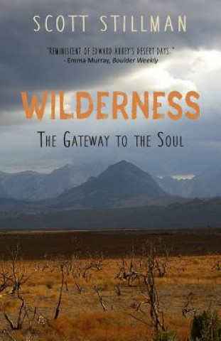 Knjiga Wilderness, The Gateway To The Soul: Spiritual Enlightenment Through Wilderness Scott Stillman