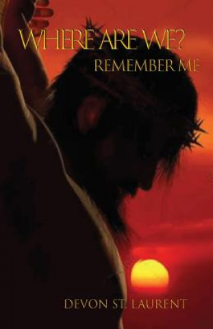Buch Remember Me Devon St Laurent