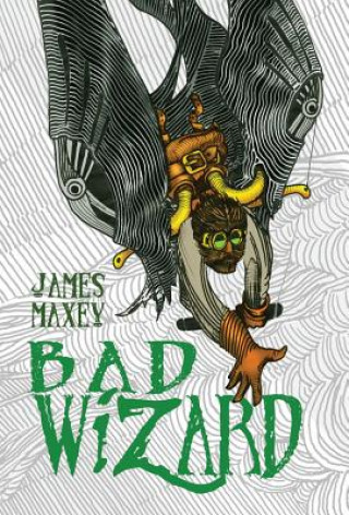 Buch Bad Wizard Maxey James