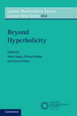 Könyv Beyond Hyperbolicity Mark Hagen