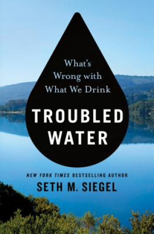 Carte Troubled Water Seth M. Siegel
