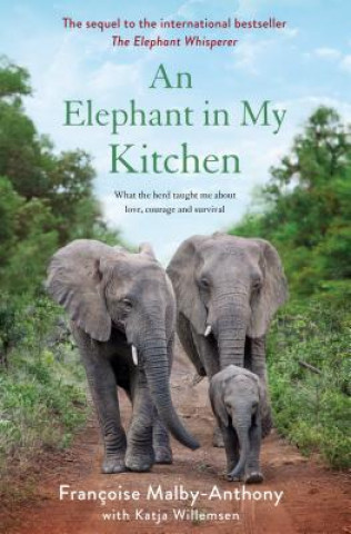 Carte Elephant in My Kitchen Francoise Malby-Anthony