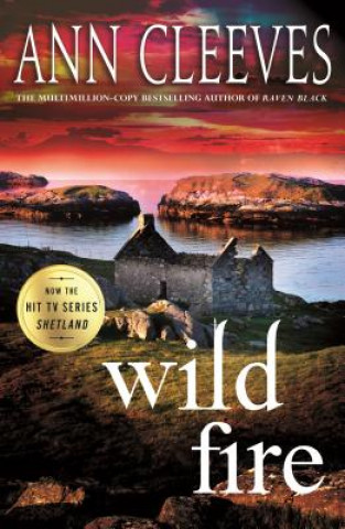 Kniha Wild Fire Ann Cleeves