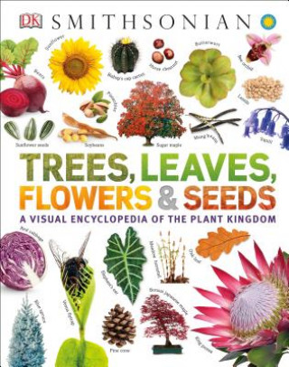 Könyv Trees, Leaves, Flowers and Seeds DK