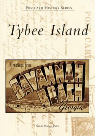 Livro Tybee Island Sarah Pierson Jones