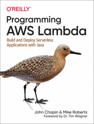 Kniha Programming AWS Lambda John Chapin