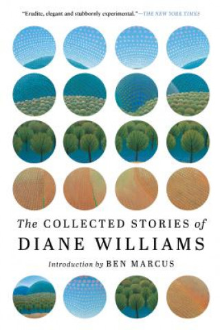 Könyv Collected Stories Of Diane Williams Diane Williams