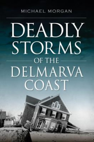 Книга Deadly Storms of the Delmarva Coast Michael Morgan