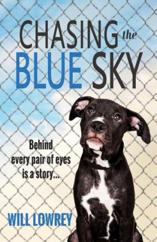 Boek Chasing the Blue Sky Will Lowrey