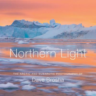 Kniha Northern Light Dave Brosha