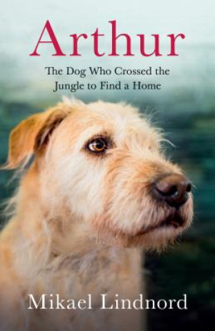 Book Arthur: The Dog Who Crossed the Jungle to Find a Home Mikael Lindnord