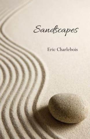 Libro Sandscapes Eric Charlebois