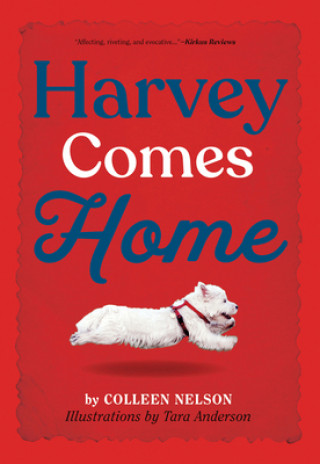 Książka Harvey Comes Home Colleen Nelson