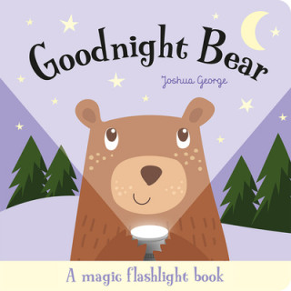Kniha Goodnight Bear Joshua George
