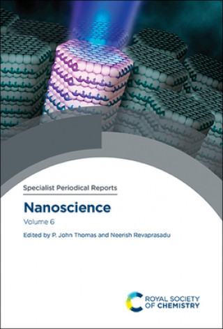 Książka Nanoscience: Volume 6 P. John Thomas