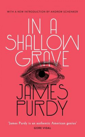 Kniha In a Shallow Grave (Valancourt 20th Century Classics) James Purdy