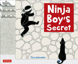 Buch Ninja Boy's Secret Tina Schneider