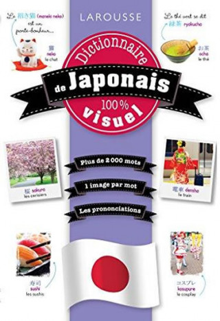 Kniha Dictionnaire visuel de japonais collegium