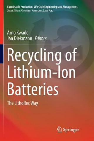 Kniha Recycling of Lithium-Ion Batteries Jan Diekmann