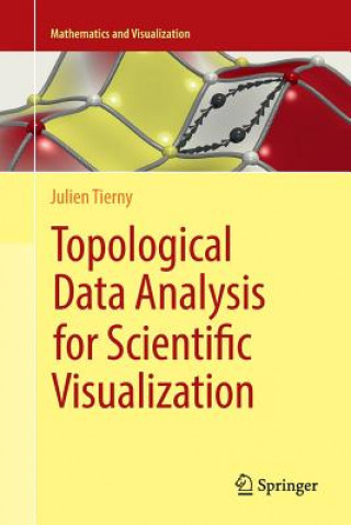 Βιβλίο Topological Data Analysis for Scientific Visualization Julien Tierny