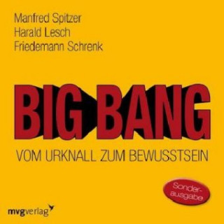 Audio Big Bang: Vom Urknall zum Bewusstsein, 1 Audio-CD Manfred Spitzer