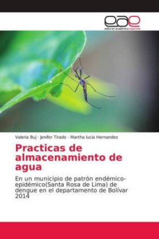 Knjiga Practicas de almacenamiento de agua Valeria Buj
