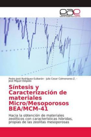 Boek Síntesis y Caracterización de materiales Micro/Mesoporosos BEA/MCM-41 Pedro José Rodríguez-Sulbarán