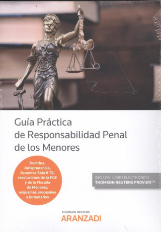 Kniha GUÍA PRÁCTICA DE RESPONSABILIDAD PENAL DE LOS MENORES 