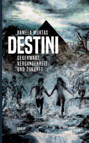 Boek Destini Pamela Murtas