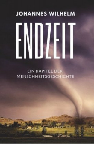 Книга Endzeit Johannes Wilhelm