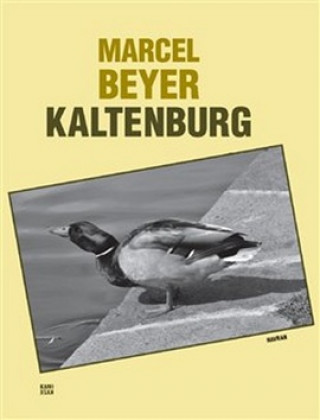 Книга Kaltenburg Marcel Beyer