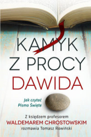 Knjiga Kamyk z procy Dawida Chrostowski Waldemar