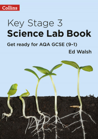 Kniha Key Stage 3 Science Lab Book Ed Walsh