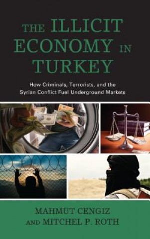 Book Illicit Economy in Turkey Mahmut Cengiz