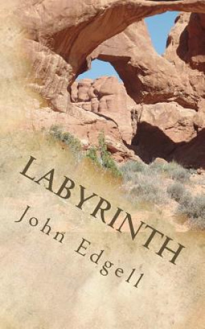 Knjiga Labyrinth John Edgell