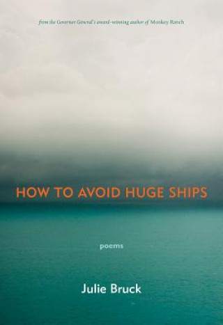 Knjiga How to Avoid Huge Ships Julie Bruck