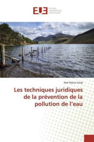Könyv Les techniques juridiques de la prévention de la pollution de l?eau Aser Nzovu Luvuji