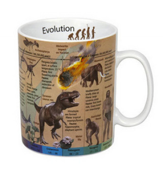 Könyv Hrnek science Evolution 