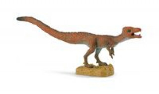 Könyv Dinozaur Sciurumimus 