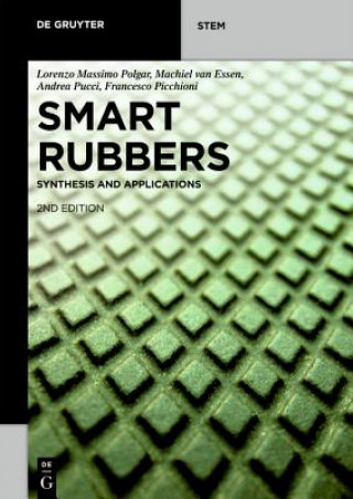 Könyv Smart Rubbers Lorenzo Massimo Polgar